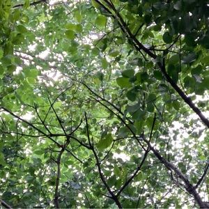 Meet your Posher, Luke